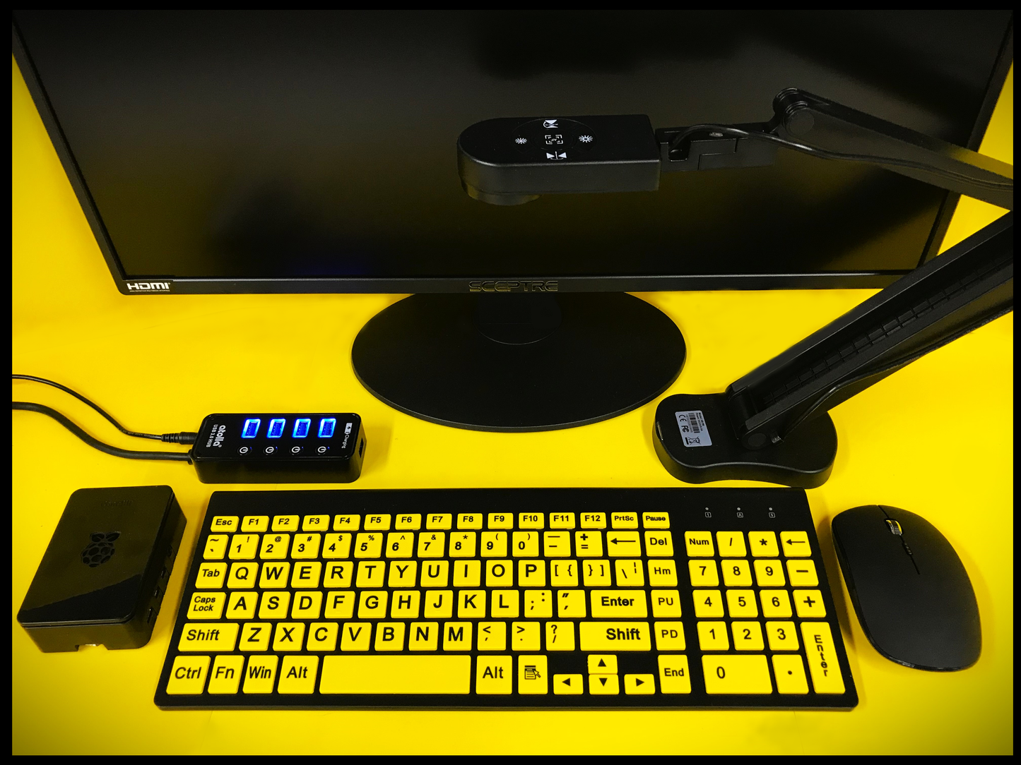 Camera - Visual Enhancing Device 'BIGVIEW' (with 24" HDMI monitor) #2309001
